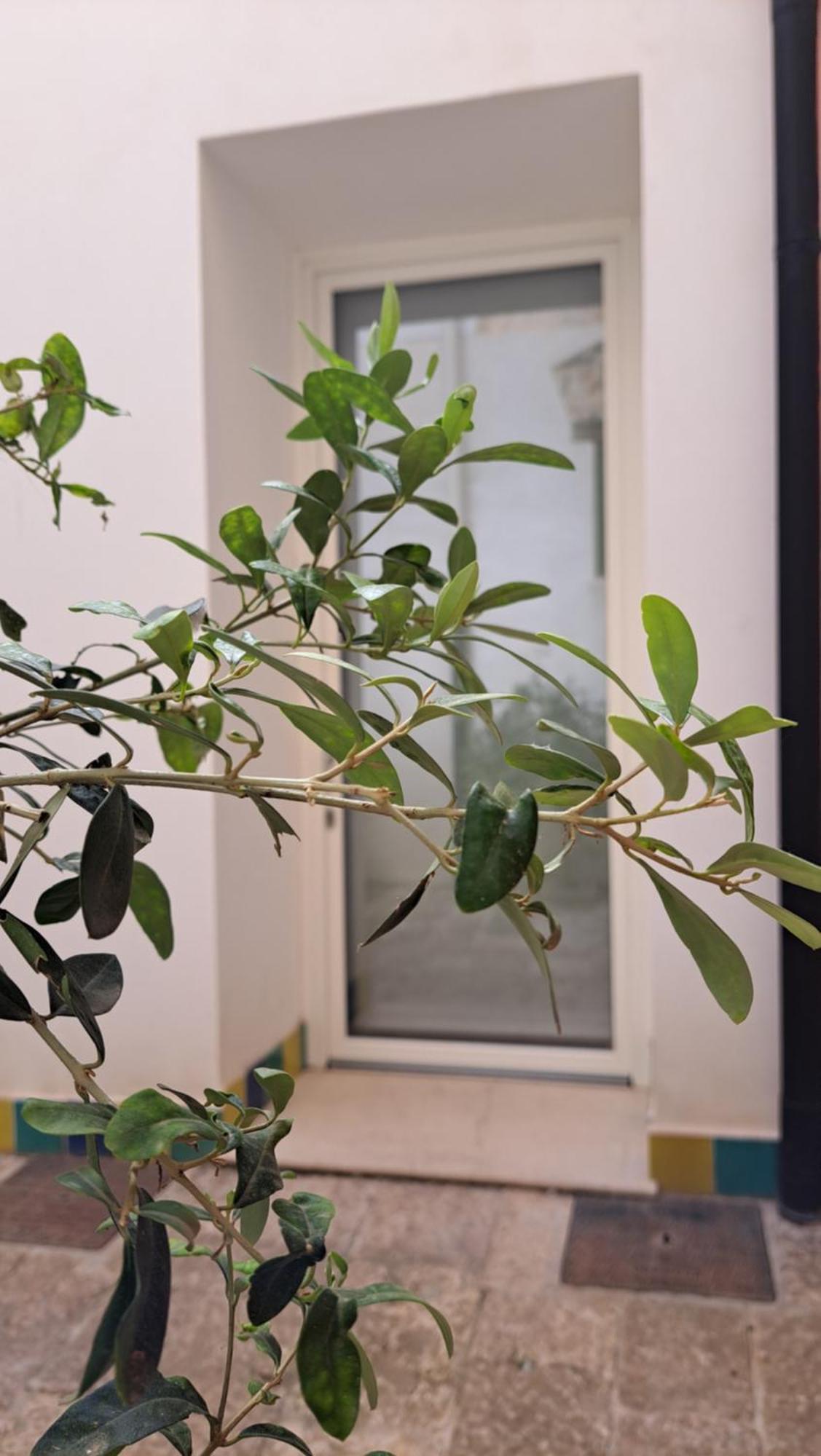 B&B Garibaldi Alcamo Zewnętrze zdjęcie